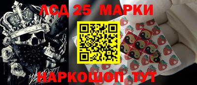 индика Аргун