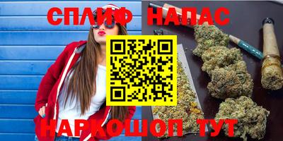 индика Аргун