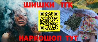 индика Аргун