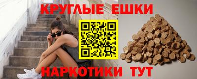 индика Аргун