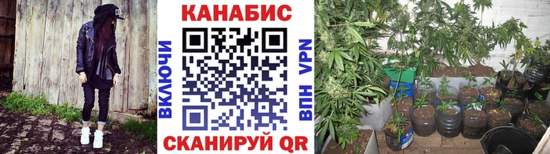 Бошки Шишки Bruce Banner  где можно купить   Кузнецк 
